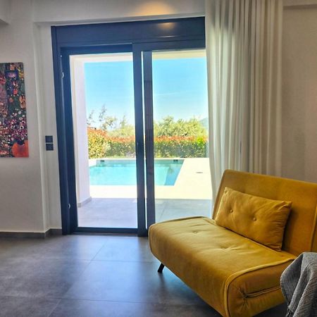 Nemesis Luxury Villas Apolpaina المظهر الخارجي الصورة