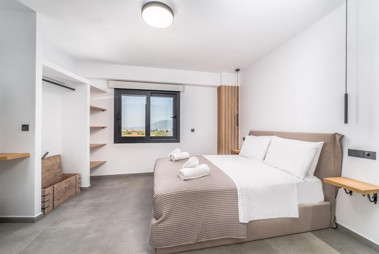 Nemesis Luxury Villas Apolpaina المظهر الخارجي الصورة