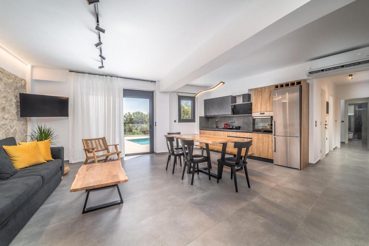 Nemesis Luxury Villas Apolpaina المظهر الخارجي الصورة